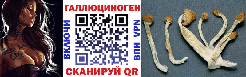 наркота  это формула  Псилоцибиновые грибы ЛСД  Кирово-Чепецк 