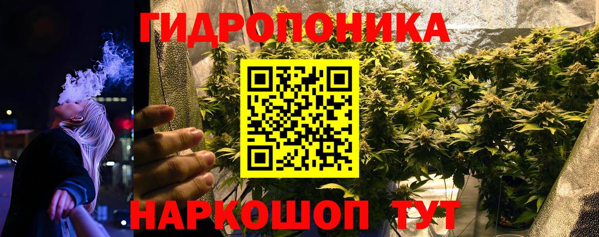 Бошки марихуана THC 21%  Каннабис гибрид  Бошки марихуана LSD WEED  Кирово-Чепецк  Вход с VPN 
